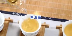 发热普洱茶-普洱茶发烧友