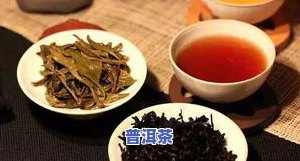 东京普洱茶产地：探寻正宗源头与专卖店