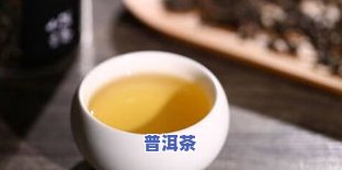 普洱茶：市场价格与收藏价值全解析