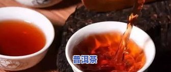 大益普洱茶泡法全解：步骤、技巧与口感提升指南