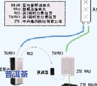 茶叶保鲜技术：原理、方法与实践