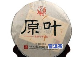 老树普洱茶饼价格、特点及图片全览表