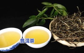 太极禅苑普洱茶怎么样-太极禅苑普洱茶怎么样好喝吗