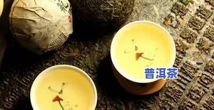 普洱茶冬叶：特点与外观详解（附图、视频）