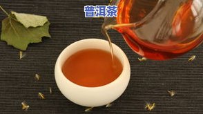 探索桂花香的普洱茶：品种、香气特点及分类全解析