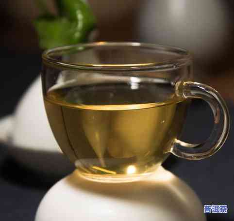 普洱茶讲座视频教程：全面解析普洱茶知识与冲泡技巧