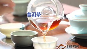 新茶友喝什么样普洱茶好-新茶友喝什么样普洱茶好呢