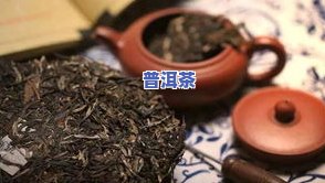 普洱茶原料：由什么制成？——深入了解这种独特的茶叶