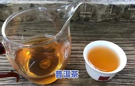 普洱茶情势-普洱茶资讯