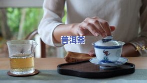 普洱茶情势-普洱茶资讯