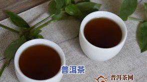 普洱茶名师：业界知名大师的大课分享