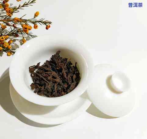 普洱茶的香如何来？详解其形成、特点与功效作用