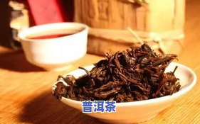 普洱茶底有异味怎么办？视频详解教你解决怪味问题！