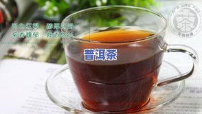 普洱茶挂包-普洱茶茶包