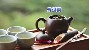 低氟普洱茶怎么泡茶喝的-低氟普洱茶怎么泡茶喝的呢