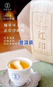 普洱茶绿印与红印有何区别？详解两款经典茶品的差异