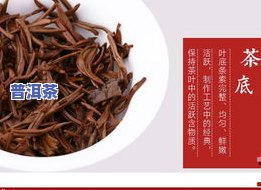 云南龙陵县勐龙茶厂有哪些茶品种、及价格？