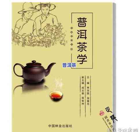 普洱茶赞词：经典语录，赞美句子，揭示茶之美