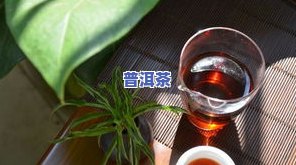 越陈越香的普洱茶属于什么茶类？