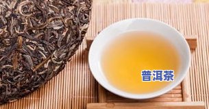 品普茶叶冰岛四寨普洱茶-冰岛普洱茶品鉴