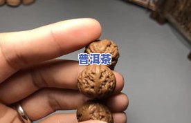 野生型普洱茶：特点、种类与介绍