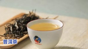 怎样解决喝不惯熟普洱茶的疑问？很多人对熟普洱茶口感不适应的起因是什么？