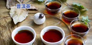 普洱茶鉴别质量好坏：方法、标准与技巧全解析