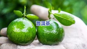 小青柑普洱茶能否放入冰箱保存？期限是多久？