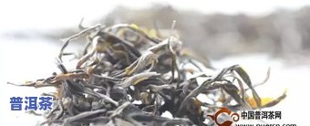 桂花香的普洱茶：种类、品种与名称全解析