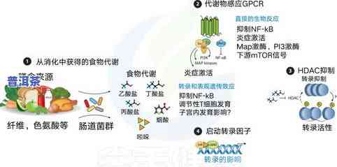 茶叶为什么会起大量泡沫？解析其成因与影响