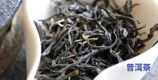 大理普洱茶春茶几月份-大理普洱茶春茶几月份采摘