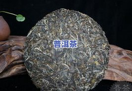 冰岛普洱茶牌子-冰岛普洱茶牌子排名