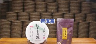 人普洱茶：从历史、制作到饮用习惯全解析