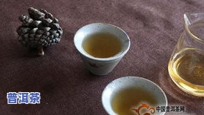 普洱茶的历史由来简介-普洱茶的历史由来简介图片