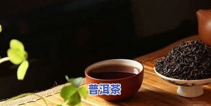 普洱茶合肥-安徽普洱茶叶