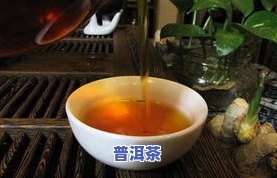 普洱茶合肥-安徽普洱茶叶