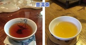 普洱可以泡多少次水？揭秘茶叶冲泡次数影响因素