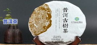 大唐茶厂普洱茶价格、品质与图片全览