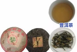 大唐茶厂普洱茶价格、品质与图片全览