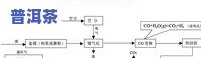 普洱茶加工工艺流程表图片大全：详解从鲜叶到成品的全过程