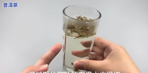 过期的茶叶还能怎么利用？用途大揭秘！