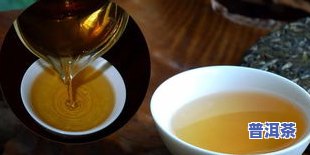 冰岛古茶与普洱茶有何不同？探讨两者的特点及分类