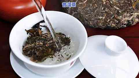 普洱茶黑豆性-黑豆和普洱茶能一起喝吗