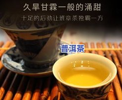 普洱茶小龙珠图片价格表-普洱茶小龙珠图片价格表大全