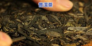 大益普洱茶放多久能喝？存储方法与保质期解析