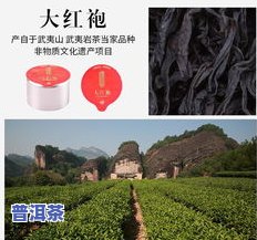 武夷山茶叶大师去世-武夷山茶叶大师有谁