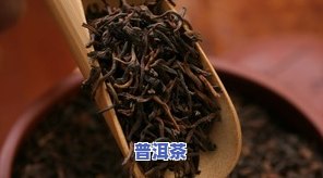 普洱茶虫子：识别、处理与饮用安全全攻略