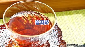 普洱茶虫子：识别、处理与饮用安全全攻略