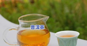 普洱茶适合长辈还是年轻一代？探讨其适口性和营养价值