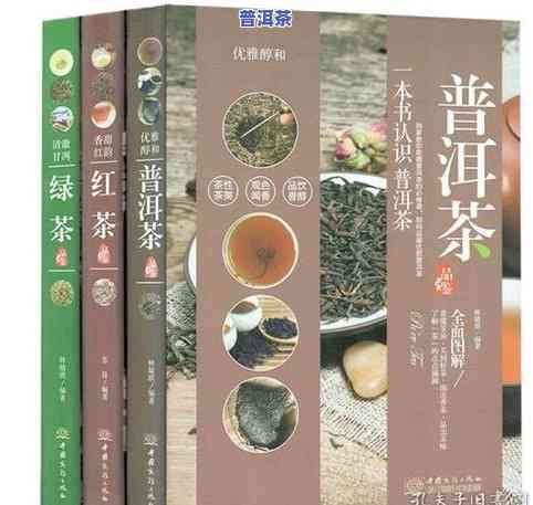 普洱茶书刊-普洱茶 书